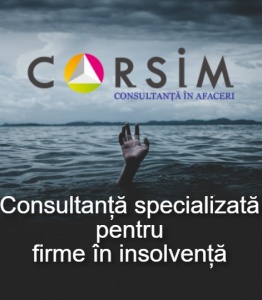 sfaturi insolventa firma - Corsim
