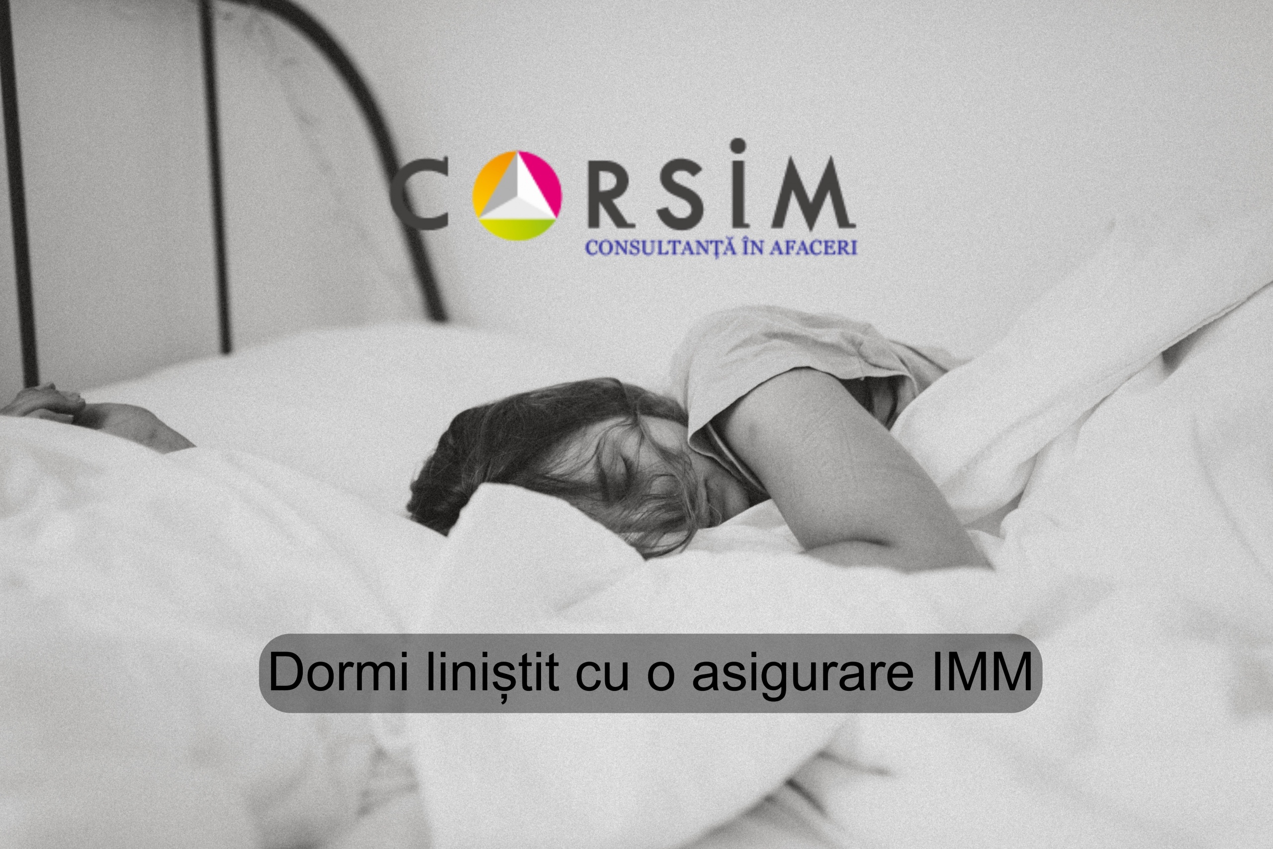 asigurari IMM Timisoara